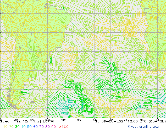 Rüzgar 10m ECMWF Paz 09.06.2024 12 UTC