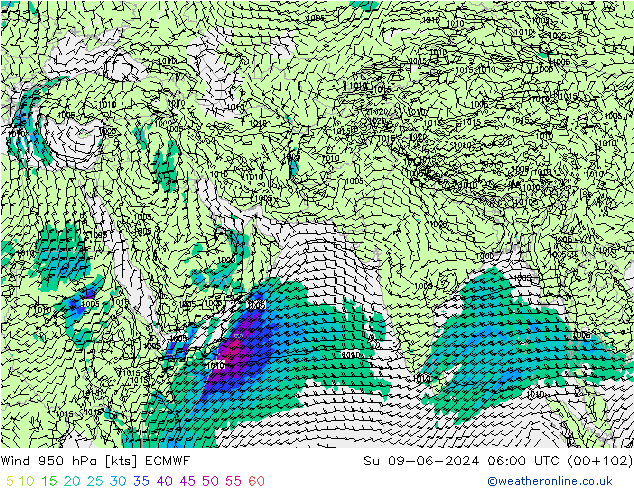 Vento 950 hPa ECMWF dom 09.06.2024 06 UTC