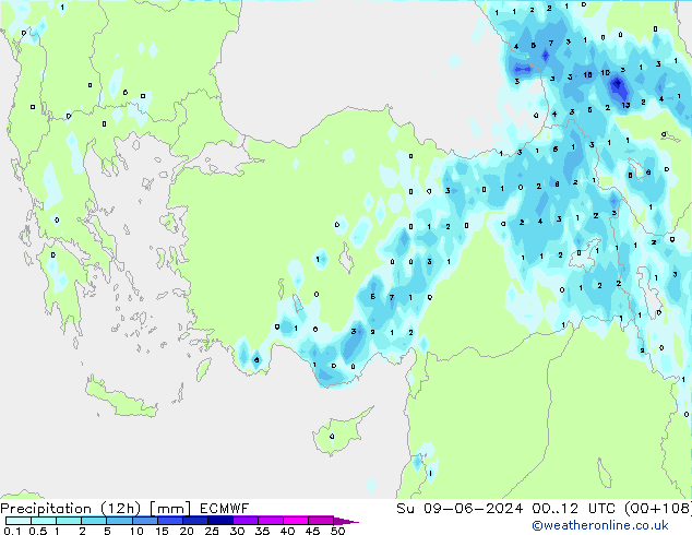 Precipitation (12h) ECMWF Ne 09.06.2024 12 UTC