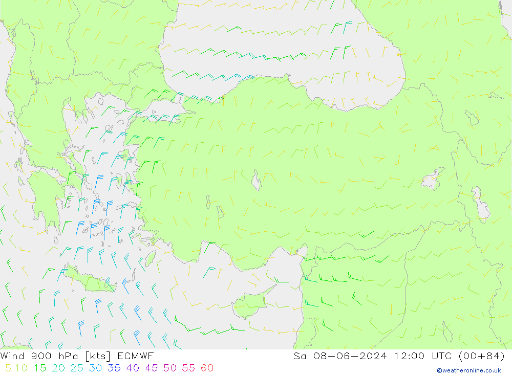Wind 900 hPa ECMWF Sa 08.06.2024 12 UTC