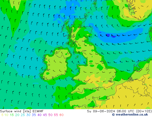  10 m ECMWF  09.06.2024 06 UTC