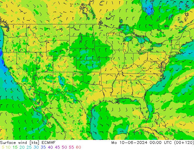 Vento 10 m ECMWF Seg 10.06.2024 00 UTC