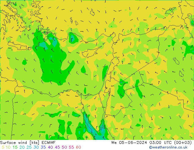 Surface wind ECMWF St 05.06.2024 03 UTC