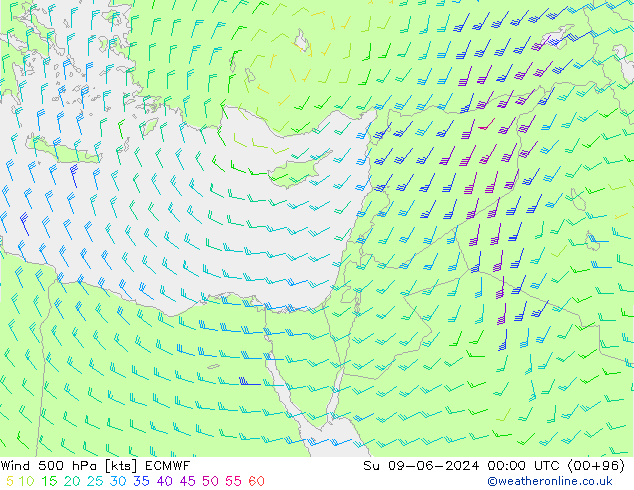 ветер 500 гПа ECMWF Вс 09.06.2024 00 UTC