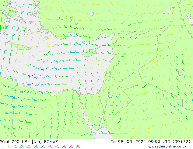 Wind 700 hPa ECMWF Sa 08.06.2024 00 UTC