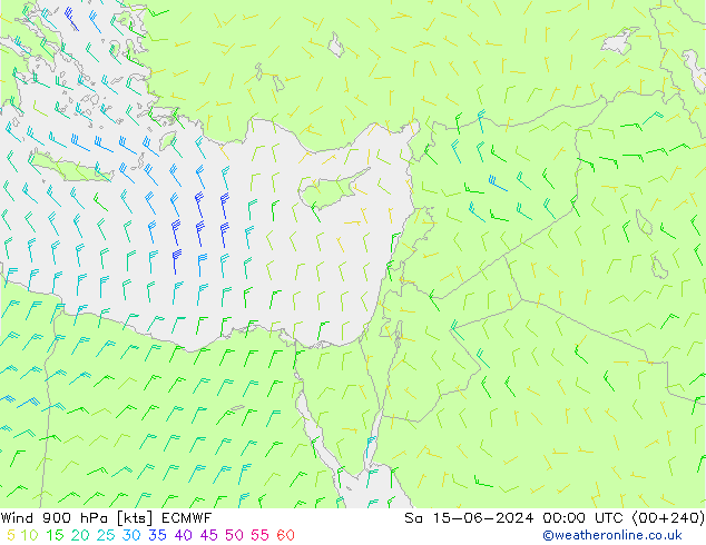 Wind 900 hPa ECMWF za 15.06.2024 00 UTC