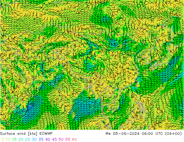 Rüzgar 10 m ECMWF Çar 05.06.2024 06 UTC