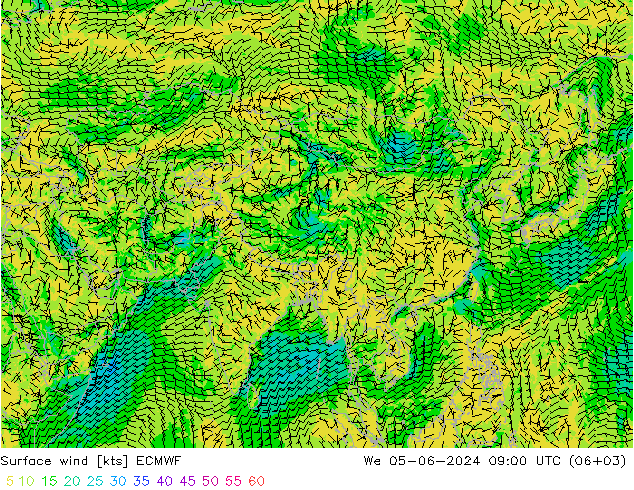  10 m ECMWF  05.06.2024 09 UTC