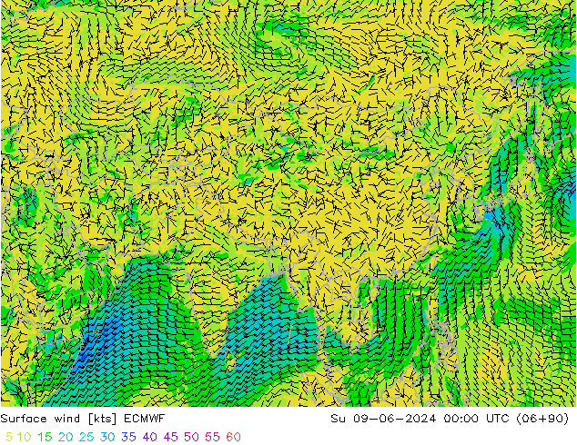 wiatr 10 m ECMWF nie. 09.06.2024 00 UTC