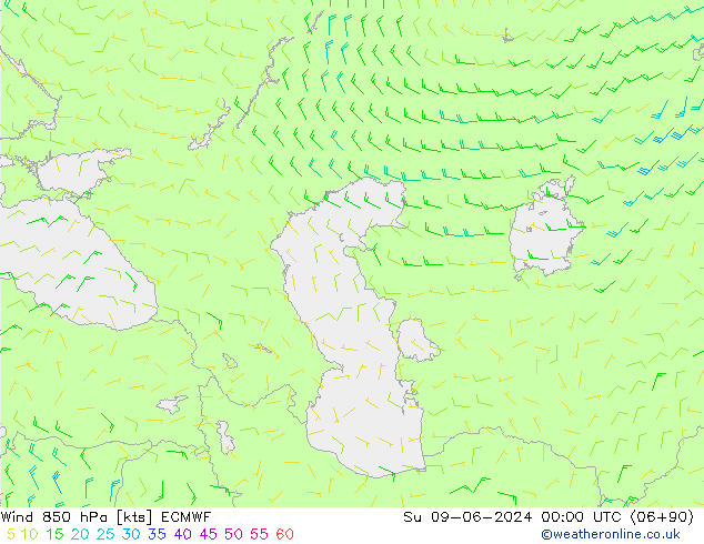 Rüzgar 850 hPa ECMWF Paz 09.06.2024 00 UTC
