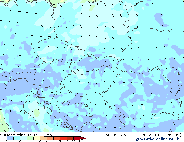 Surface wind (bft) ECMWF Su 09.06.2024 00 UTC