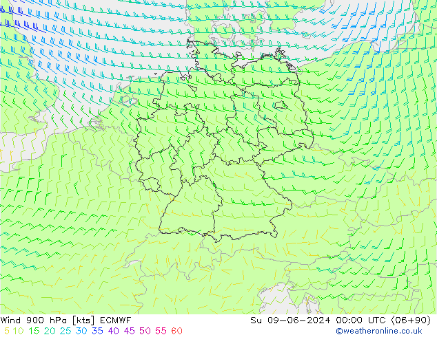 wiatr 900 hPa ECMWF nie. 09.06.2024 00 UTC