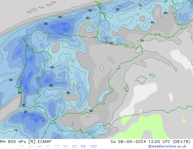 RH 850 гПа ECMWF сб 08.06.2024 12 UTC