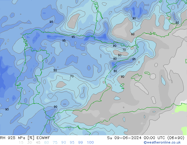 RH 925 hPa ECMWF Ne 09.06.2024 00 UTC