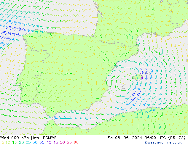 Viento 900 hPa ECMWF sáb 08.06.2024 06 UTC