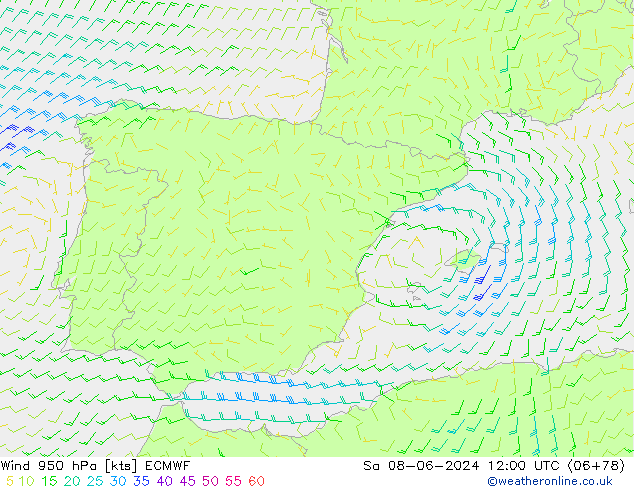 ветер 950 гПа ECMWF сб 08.06.2024 12 UTC