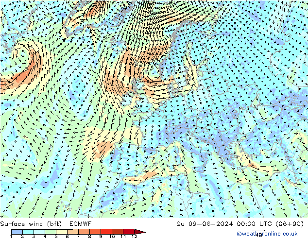 Vento 10 m (bft) ECMWF Dom 09.06.2024 00 UTC