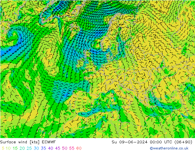 Bodenwind ECMWF So 09.06.2024 00 UTC