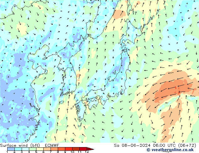 Surface wind (bft) ECMWF Sa 08.06.2024 06 UTC