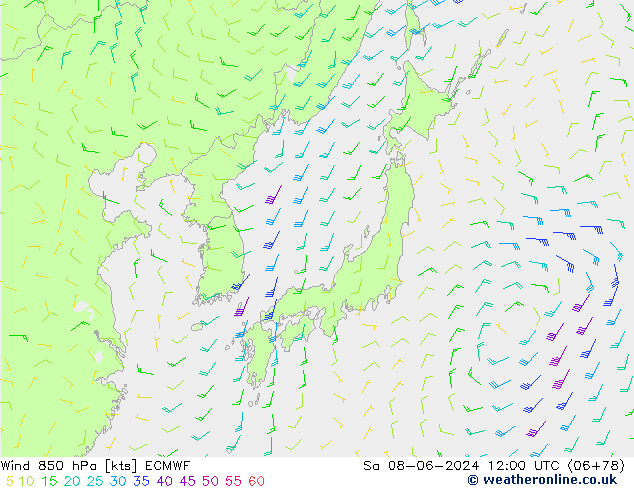 Wind 850 hPa ECMWF Sa 08.06.2024 12 UTC