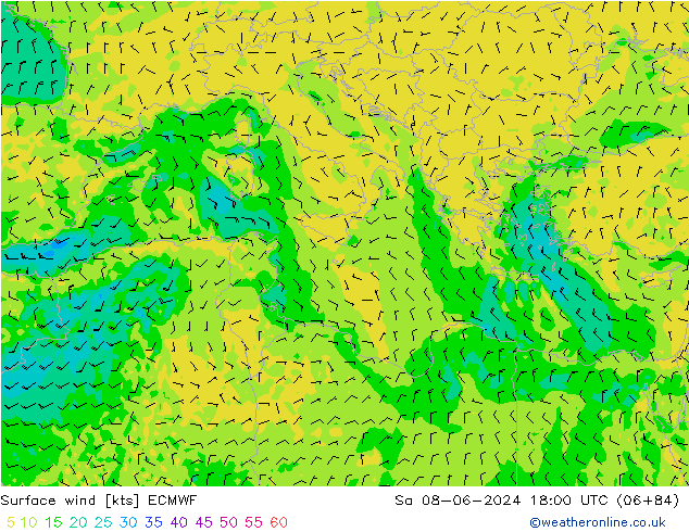 Surface wind ECMWF So 08.06.2024 18 UTC