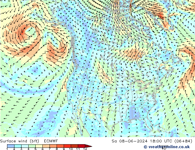 Bodenwind (bft) ECMWF Sa 08.06.2024 18 UTC