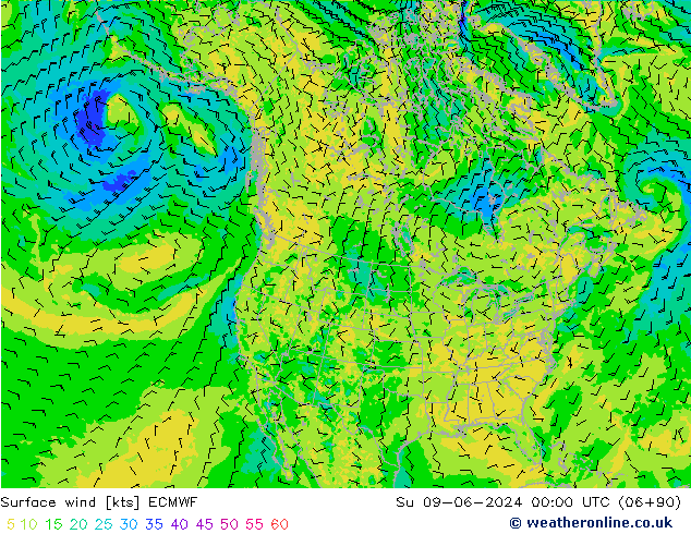 Vento 10 m ECMWF dom 09.06.2024 00 UTC