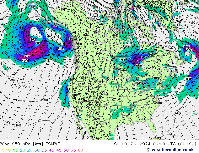  950 hPa ECMWF  09.06.2024 00 UTC