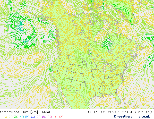 Streamlines 10m ECMWF Ne 09.06.2024 00 UTC