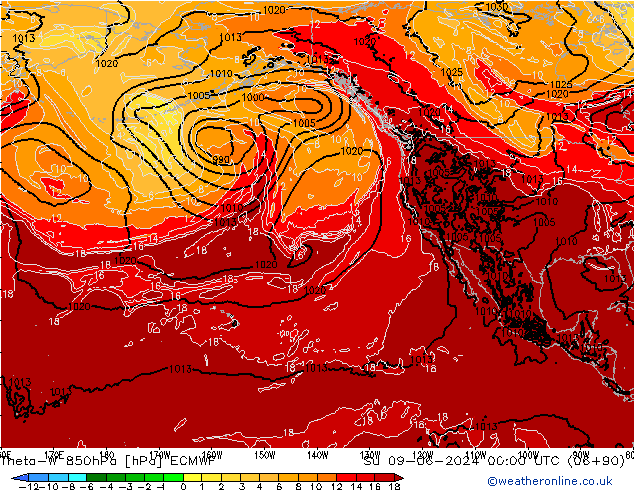 Theta-W 850hPa ECMWF  09.06.2024 00 UTC