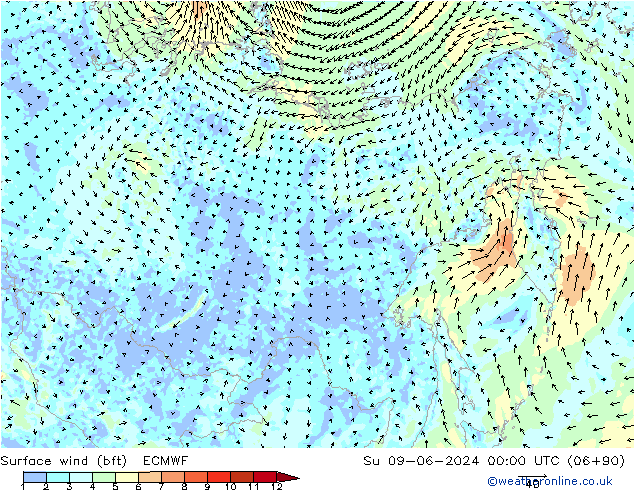 Vento 10 m (bft) ECMWF Dom 09.06.2024 00 UTC