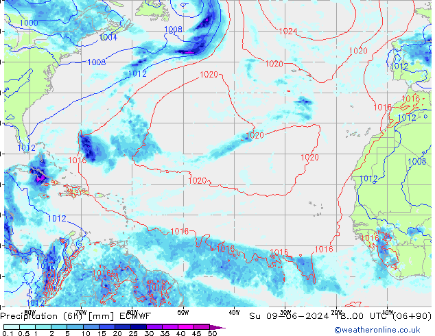 Z500/Rain (+SLP)/Z850 ECMWF Вс 09.06.2024 00 UTC