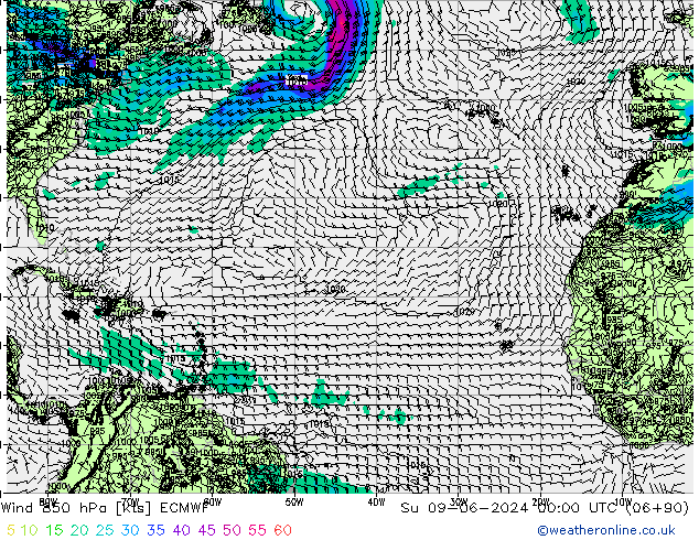 Rüzgar 850 hPa ECMWF Paz 09.06.2024 00 UTC