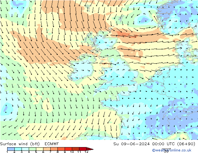 Vento 10 m (bft) ECMWF dom 09.06.2024 00 UTC