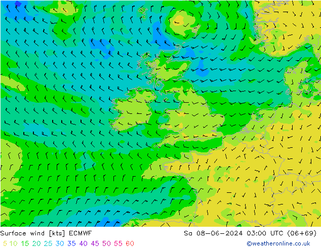 wiatr 10 m ECMWF so. 08.06.2024 03 UTC