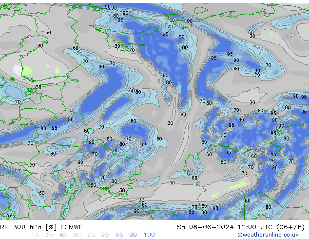 RH 300 гПа ECMWF сб 08.06.2024 12 UTC