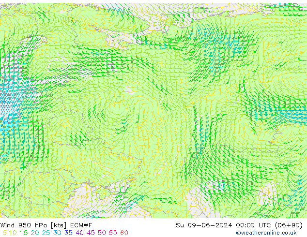 Wind 950 hPa ECMWF Su 09.06.2024 00 UTC