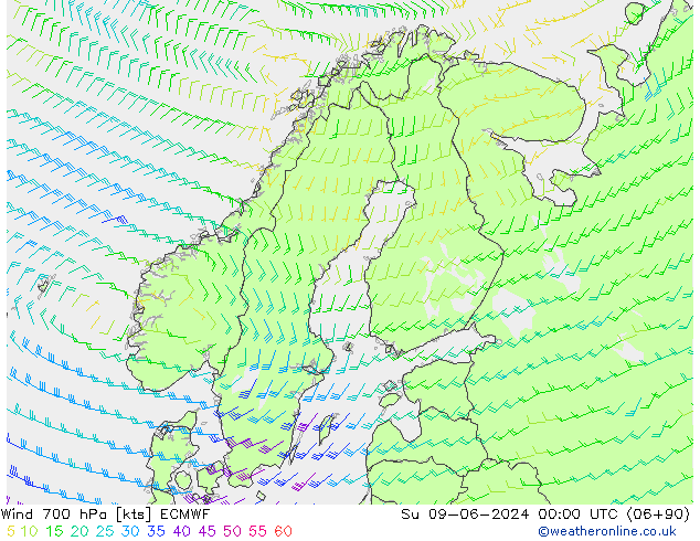 ветер 700 гПа ECMWF Вс 09.06.2024 00 UTC