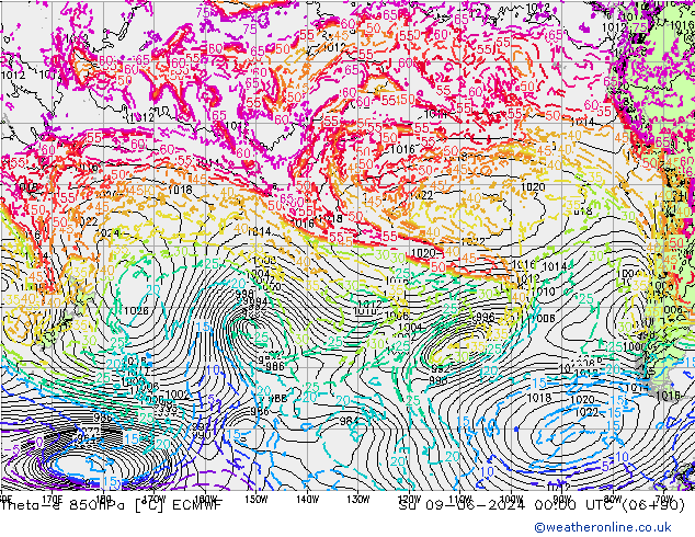 Theta-e 850hPa ECMWF Ne 09.06.2024 00 UTC