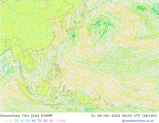 Streamlines 10m ECMWF Su 09.06.2024 00 UTC