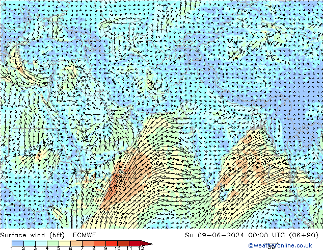 Vento 10 m (bft) ECMWF Dom 09.06.2024 00 UTC