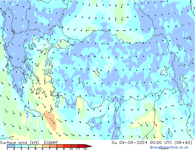 Vento 10 m (bft) ECMWF Dom 09.06.2024 00 UTC