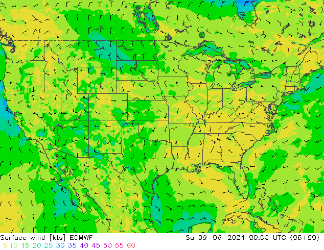 Vento 10 m ECMWF Dom 09.06.2024 00 UTC