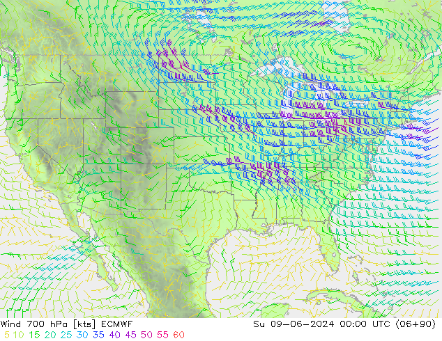 Vento 700 hPa ECMWF Dom 09.06.2024 00 UTC