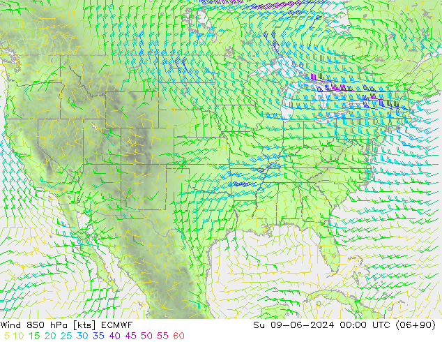 Vento 850 hPa ECMWF Dom 09.06.2024 00 UTC