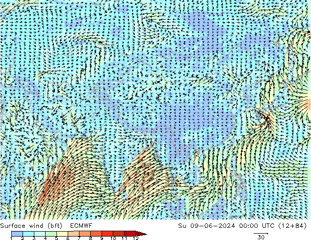 Surface wind (bft) ECMWF Ne 09.06.2024 00 UTC