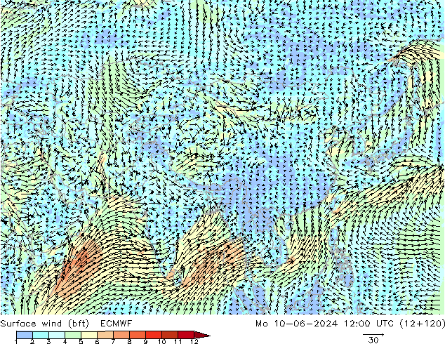 ве�Bе�@ 10 m (bft) ECMWF пн 10.06.2024 12 UTC