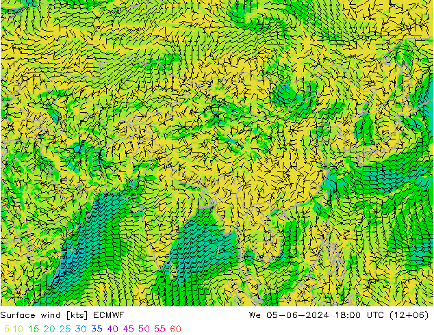 ветер 10 m ECMWF ср 05.06.2024 18 UTC