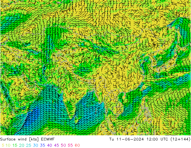 Vento 10 m ECMWF Ter 11.06.2024 12 UTC