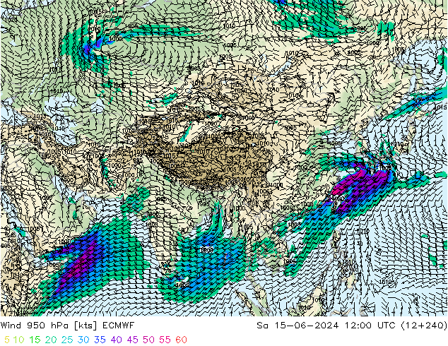  950 hPa ECMWF  15.06.2024 12 UTC